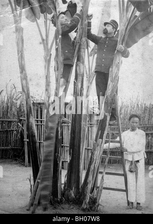 Zwei französische Soldaten arbeiten mit vietnamesischen gebürtig hält die Leiter für sie in Vietnam oder Kambodscha um 1900. Stockfoto