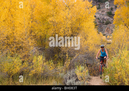 Mountainbiken auf der Hartman Felsen Recreation Area Wanderwege, Gunnison, Colorado. (Modell freigegeben) Stockfoto