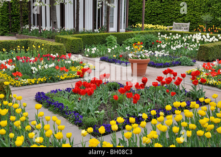 Tulip Garten, Britzer Garten, Berlin, Deutschland Stockfoto