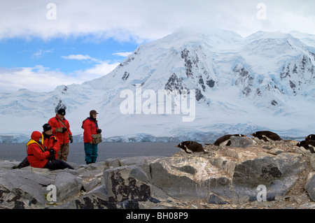 Touristen, die gerade Gentoo Penguins Damoy Zeitpunkt, Antarktis Stockfoto