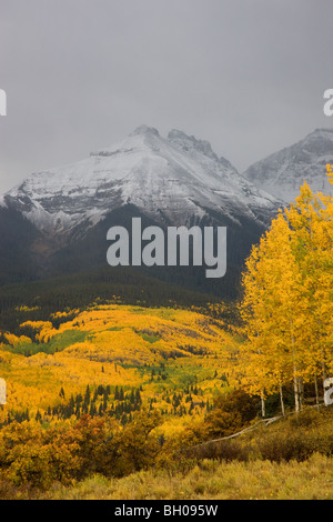 Autumn colors and the Sneffels Range, San Juan Mountains, Colorado. Stockfoto
