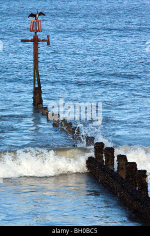 Ein Kormoran (Phalacrocorax Carbo) trocknen die Flügel auf einem Wellenbrecher auf der Norfolk-Küste im Südosten Englands Stockfoto