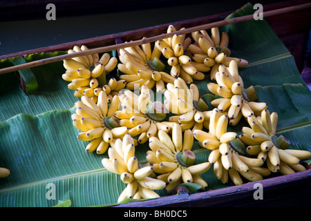 Trauben von Bananen in Damnoen Saduak Floating Market Stockfoto