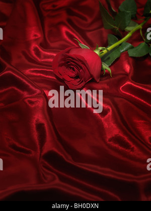 Einzelne rote Rose auf seidig glänzendem Stoff Hintergrund Stockfoto