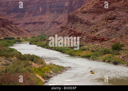 Rafting auf dem Colorado River, in der Nähe von Moab, Utah. Stockfoto