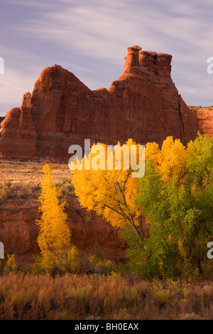 Courthouse Wash, Arches-Nationalpark, in der Nähe von Moab, Utah. Stockfoto