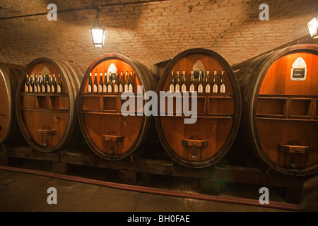 Holzfass, Fässer Wein in Hospices de Straßburg Elsass Frankreich horizontale 099916 Strasbourg Stockfoto