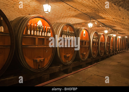 Holzfass, Fässer Wein in Hospices de Straßburg Elsass Frankreich horizontale 099918 Strasbourg Stockfoto