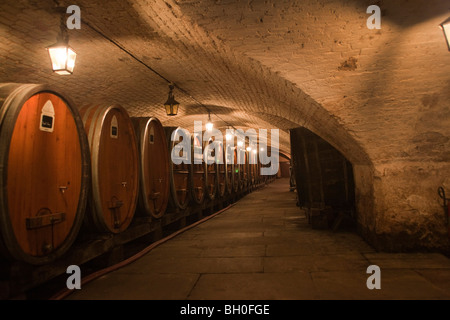 Holzfass, Fässer Wein in Hospices de Straßburg Elsass Frankreich horizontale 099930 Strasbourg Stockfoto