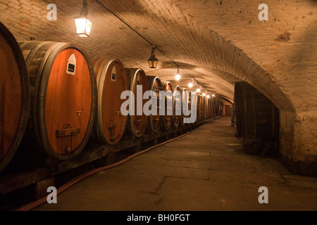 Holzfass, Fässer Wein in Hospices de Straßburg Elsass Frankreich horizontale 099931 Strasbourg Stockfoto