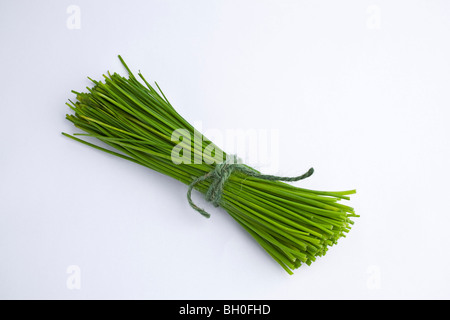 Ein Bund Schnittlauch Stockfoto