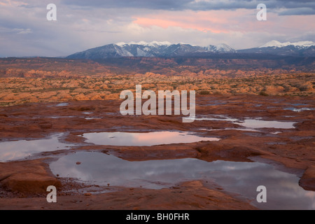 Der Regen Wasser, La Sal Mountains Sicht, Arches National Park in der Nähe von Moab, Utah voller Schlaglöcher. Stockfoto