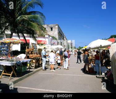 Mercado De La Catedral, Habana Vieja, Havanna, La Habana, Republik Kuba Stockfoto