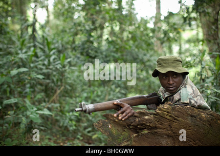 Ranger patrouillieren Kakamega Forest Reserve im Westen Kenias. Stockfoto
