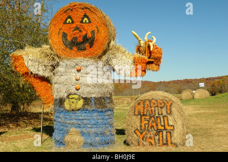 North Georgia, GA, Heu Ballen Herbst Dekoration, Herbst Stockfoto