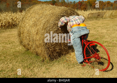 North Georgia, GA, Heu-Ballen Herbst Dekoration, Radfahrer, Herbst Stockfoto