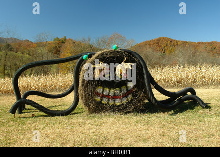 North Georgia, GA, Heu-Ballen Herbst Dekoration, Spinne, Herbst Stockfoto