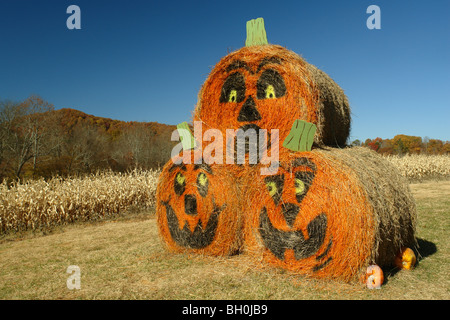 North Georgia, GA, Heu-Ballen Herbst Dekoration, Kürbis Familie, Herbst Stockfoto