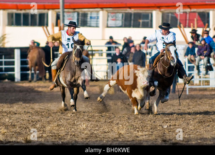 Teilnehmer in die Gauchos zeigen in "Semana Criolla" in Montevideo Uruguay Stockfoto