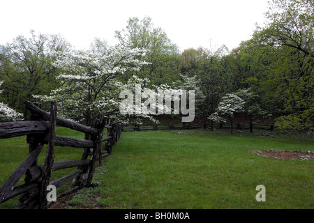 Pionier der Homestead & Farm. Hartriegel benötigen. Stockfoto