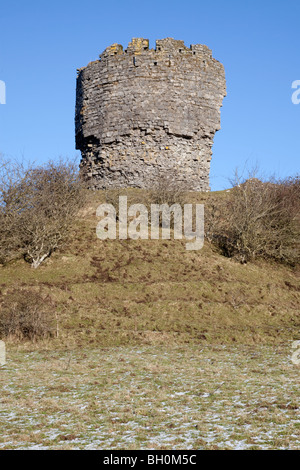 Shanid Castle, County Limerick Irland Stockfoto