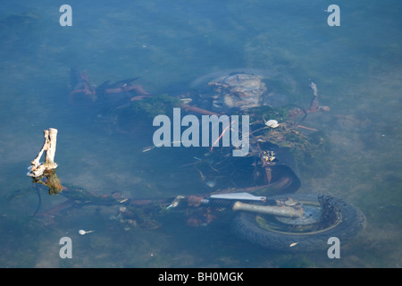 Müll in das Meer Roller als Verschmutzung Farlington Sümpfe Naturschutzgebiet geworfen Stockfoto