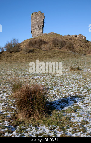 Shanid Castle, County Limerick Irland Stockfoto