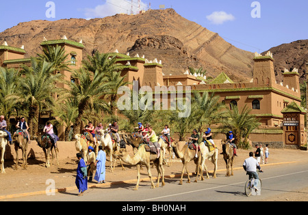 Touristen, Kamelreiten auf einer Straße in Zagora, Draa-Tal, südlich Marokko, Marokko, Afrika Stockfoto