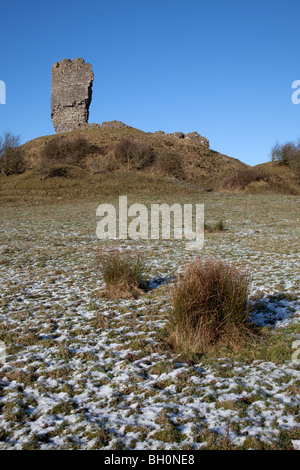 Shanid Castle, County Limerick Irland Stockfoto