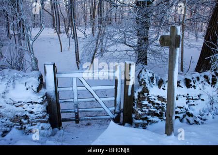 Ein Wanderweg führt durch den verschneiten Wald in der Nähe von Snowshill in Gloucestershire Stockfoto