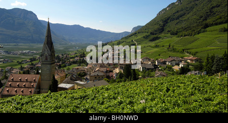 Weingut mit Weinbergen, Dorf und Kirche, Tramin ein der Weinstraße, Bozen, Südtirol, Italien Stockfoto