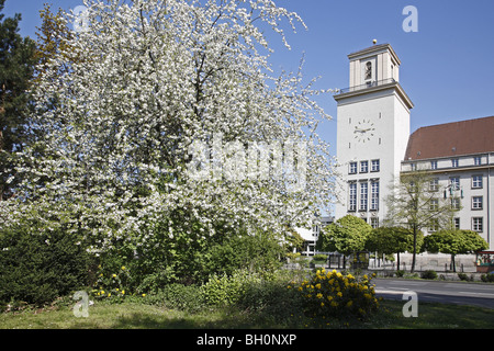 Berliner Rathaus Rathaus Rathaus Stockfoto