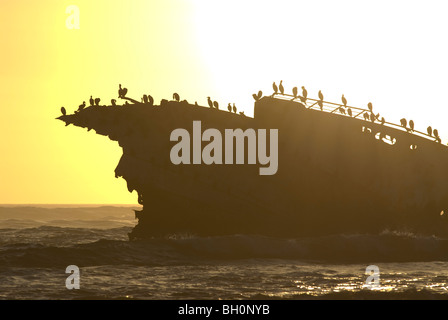 Wrack vor Küste am südlichsten Punkt Afrikas, Kap Agulhas, Südafrika. Stockfoto