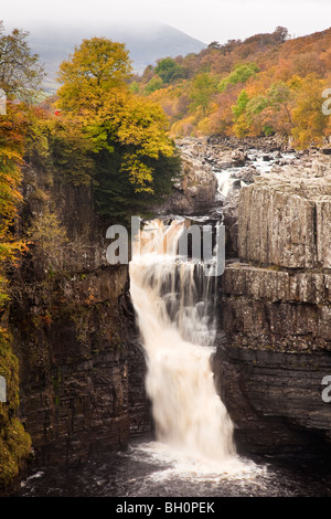 Hohe Kraft Wasserfall im Herbst in der Nähe von Middleton in Teesdale, Teesdale, County Durham Stockfoto