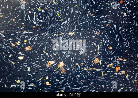 Blätter und Surfen im Fluss im Herbst, River Tees Stockfoto