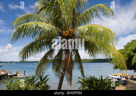 Palme und Hafen unter bewölktem Himmel, Neiafu, Vava'u-Inseln, Tonga, Südpazifik, Ozeanien Stockfoto