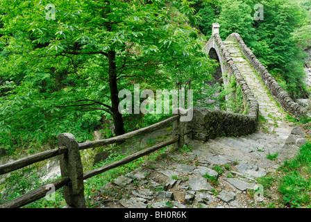 Stein-Bogen Brücke Ponte Romano über Fluss Melezza, Intragna, Centovalli, Lago Maggiore, Lago Maggiore, Tessin, Schweiz Stockfoto