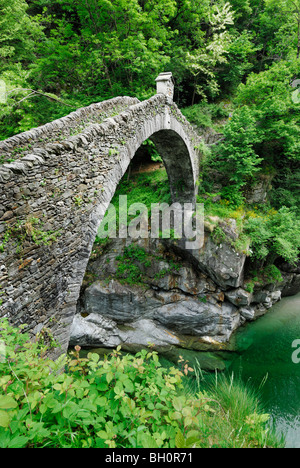 Stein-Bogen Brücke Ponte Romano über Fluss Melezza, Intragna, Centovalli, Lago Maggiore, Lago Maggiore, Tessin, Schweiz Stockfoto