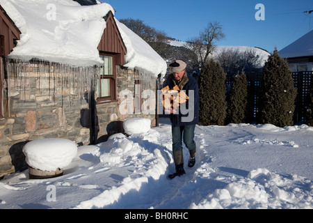 Sammeln von Holz im Winter einfrieren schottische Wetter. Starker Schneefall in kalten Bedingungen in den schottischen Highlands, Braemar, Aberdeenshire, Schottland, Großbritannien Stockfoto