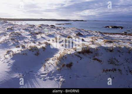 Tasmanische Teufel Fußabdrücke, Bay of Fires Walk, Tasmanien, Australien Stockfoto