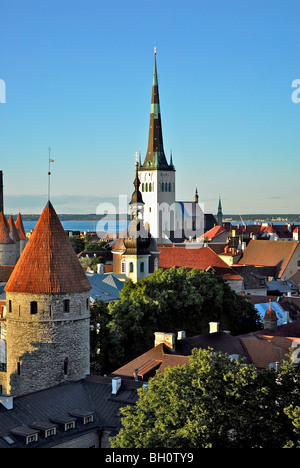 Blick vom Dom Hügel, dem Domberg, in Richtung der unteren Altstadt mit Stadtmauer und St. Olafs Kirche, Tallinn, Estland Stockfoto