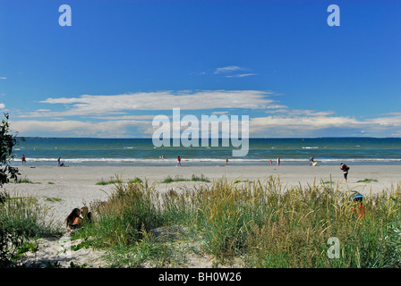 Strand von Kadriorg, Tallinn, Estland Stockfoto