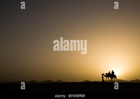 Ein Mann, ein Beduine führt zwei Kamele mit Touristen, eine Mutter und zwei Kinder bei Sonnenuntergang, Marsa Alam Wüste, Rotes Meer, Ägypten Stockfoto