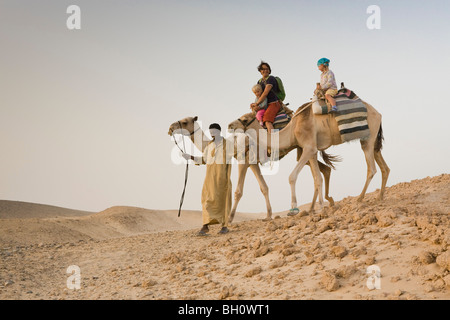 Ein Mann, ein Beduine führt zwei Kamele mit Touristen, eine Mutter und zwei Kinder, Marsa Alam Wüste, Rotes Meer, Ägypten Stockfoto