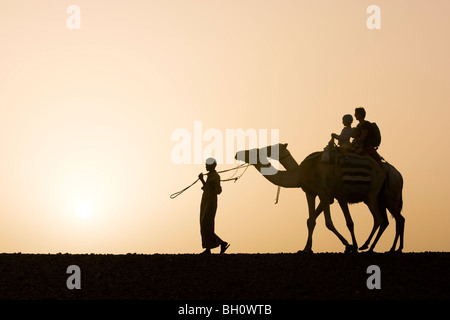 Ein Mann, ein Beduine führt zwei Kamele mit Touristen, eine Mutter und zwei Kinder bei Sonnenuntergang, Marsa Alam Wüste, Rotes Meer, Ägypten Stockfoto