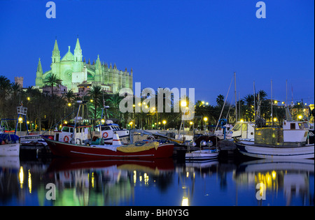 Europa, Spanien, Mallorca, Palma, Kathedrale La Seu Stockfoto