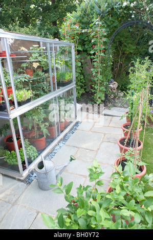 Ein kleines Garten Gewächshaus voller Tomatenpflanzen, Paprika, Gurken und Salat mit einer kleinen Terrasse Umgebung Stockfoto