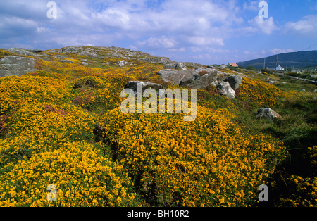 Landschaft in der Nähe von Roundstone, Connemara, Co. Galway, Irland, Europa Stockfoto