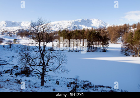 Eine gefrorene Tarn Hows im Lake District Stockfoto