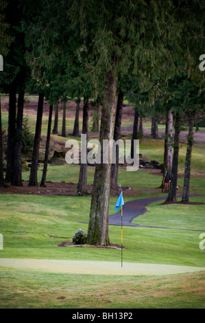 Bridal Falls Golfclub befindet sich am Fuße des Berges Cheam und in Hörweite der Bridal Falls im Fraser Valley, b.c., Kanada. Stockfoto